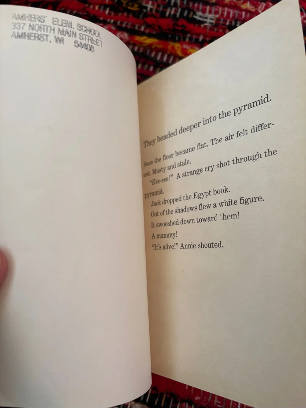 Mummies in the Morning Book